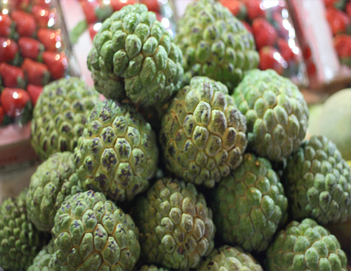 Custard Apple